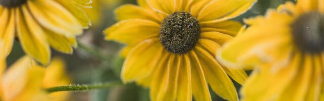 Maalehe ilmatargad: tulemas on meeletult pikk sügis