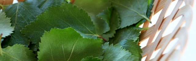 Sinu ilu ja tervise heaks: just praegu on aeg korjata kaselehti