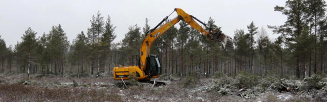 PÄRNUMAA RAHVAGA SOOSAARE SOHU