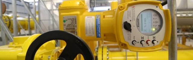 Gaasiliit: Eestil on vaja oma gaasijaama