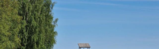 Kõige rohkem linnuliike nähti Vihasoo tornis