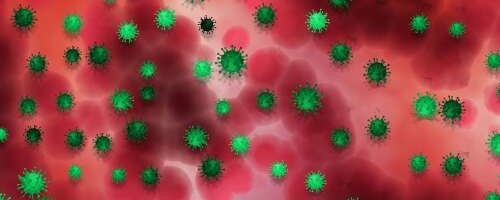 Koroonaviirus kogub ka Harjumaal jõudu