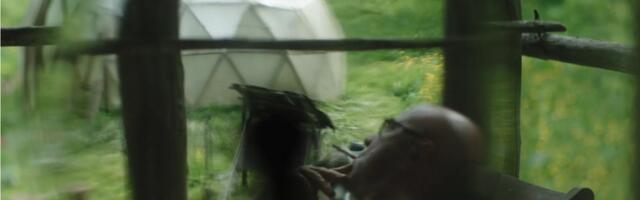 Johan Huimerinna "Laskumine orgu" kodus avanädalavahetusega ligi 1000 kinokülastust