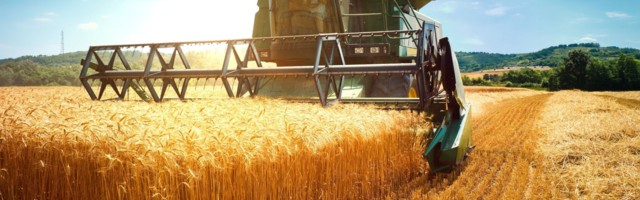 Toidukaupade hinnad üle kogu maailma tõusid augustis peaaegu kümnendi kõrgeimale tasemele