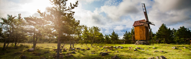 Heategu Saaremaa toetuseks. “Saaremaa rööm”