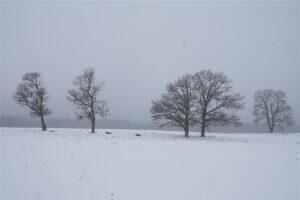 Kõikeõlmav päikë me ääbuvas kodus