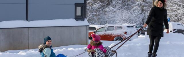 LUMINE GALERII | Talv vallutas Eestimaa täie hooga