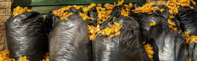 HEA TEADA | Sügisel maha langenud puulehed aitavad kevadel väetise pealt raha kokku hoida