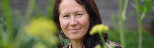 IRJE KARJUS: Suuremad lehed sobivad peenarde katteks