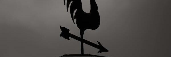 TSITAADIPÕIMIK: Hussar kui hästi õlitatud poliitiline tuulelipp