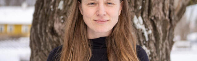 Doominoefekt ja võilillelaps