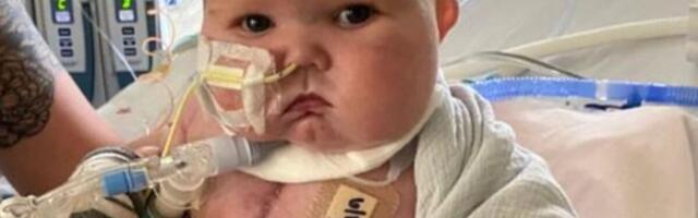 Ameerika väikemees sai korraga nii südame kui ka harknäärme