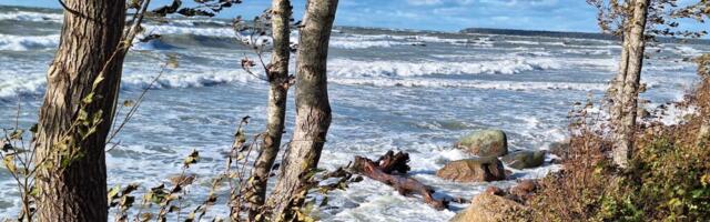 LainePoiss mõõtis Soome lahe laine rekordkõrguseks 5,78 meetrit