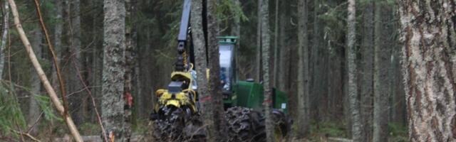 Konkurentsiraport: metsavarumises langus jätkub