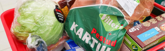 Toiduainete ja teenuste hinnad kappasid märtsis nagu valitsuse viimsepäevaratsanikud