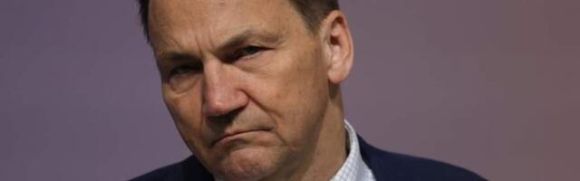 Сикорский призвал страны НАТО и ЕС ввести бесполётную зону над Украиной