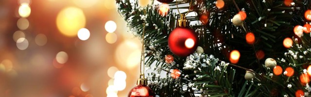 Tallinna jõulupuu jõudis täna Raekoja platsile