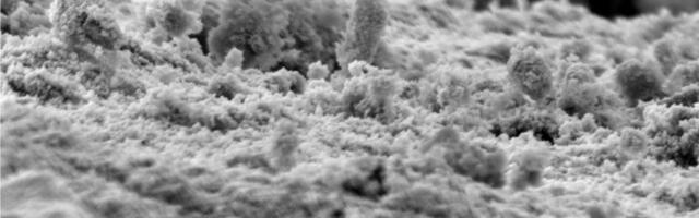 Lühiajaliselt tõhusad antibakteriaalsed pinnakatted võivad pikema aja jooksul alt vedada