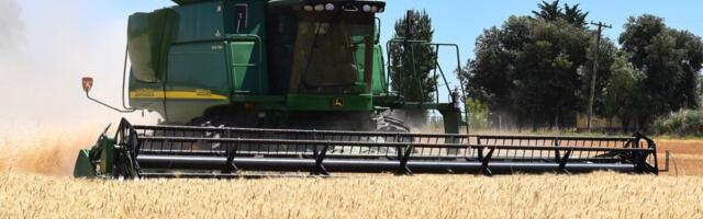 METKi teadlased: Miks taliviljade kvaliteet on madal?