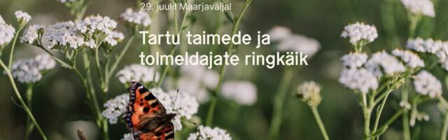 Maarjaväljal toimub taimede ja tolmeldajate ringkäik koos TÜ teadlastega