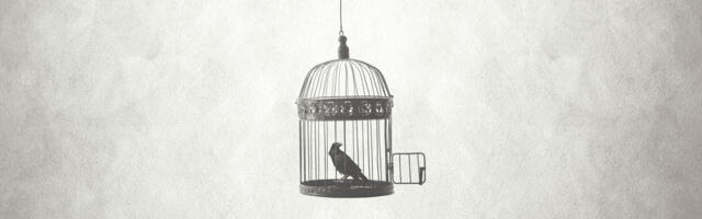 Digivaluutad teevad inimeste raha riigi rahaks – 5 viisi, kuidas säilitada vabadus