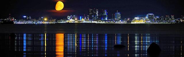 Jaanus Volmre NÄDALA FOTO