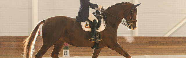 Ellermann ja Donna Anna kaitsesid koolisõidu sisemeistritiitlit