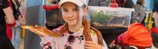 GALERII I Lõunakeskuses sai kohtuda nii madude kui merisigadega