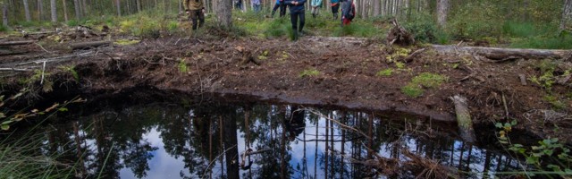 Feodorisoo näitab kuivenduskraavide sulgemise järel taastumise märke