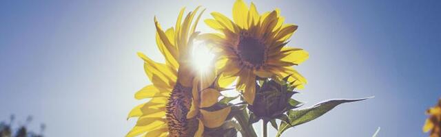 September oli päikeseline, rekordiliselt soe ja sademeid tuli normi jagu