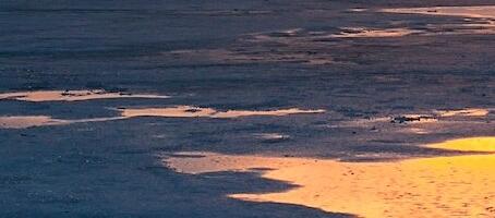 Eluisu otsas? Türil jääle roninud mees pani ohtu nii enda kui pinnaltpäästja