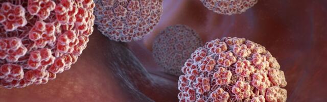 HPV põhjustab Eestis igal aastal üle 200 vähijuhu, millest enamik oleks vaktsiiniga ennetatavad