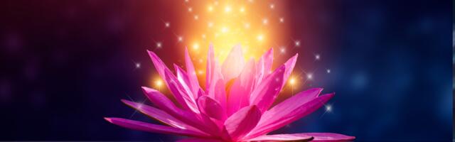 Lillehoroskoop näitab, milline lill sinu iseloomu ja elu kõige rohkem mõjutab