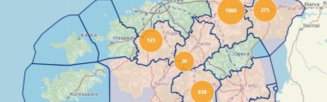 Tugevad tuuleiilid põhjustavad ulatuslikke elektrikatkestusi. Elektrita on üle 3000 majapidamise