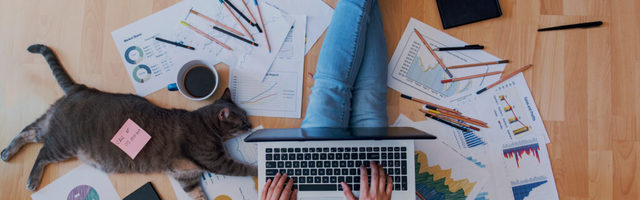 Valner Valme: CEVAD-20: puhangulised tendentsid