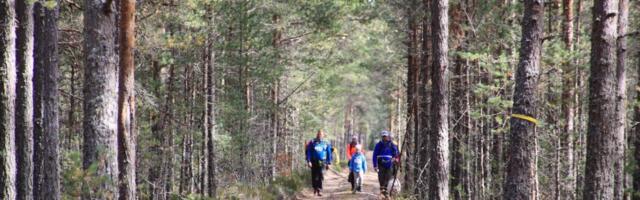 RMK korraldab looduskaitsekuul Saaremaal neli matka