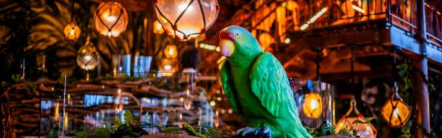 PEREPÄEV OTT TÄNAKUGA! Spaaäriga liitunud Ott Tänak korraldas lasterikastele peredele spaapäeva 