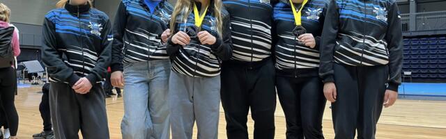 Helsingi suurturniirilt kolm maadlusmedalit