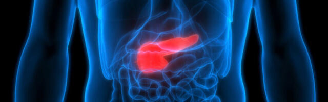 Diabeet – suurimaid ohte inimkonna eksisteerimisele. 2021 aastal suri 6,7 miljonit inimest selle haiguse tõttu! Riike pole kinni pandud selle pärast ja ravi ka pole!?