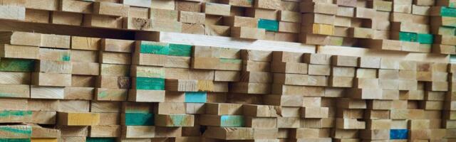 Puiduturgudel segased ajad