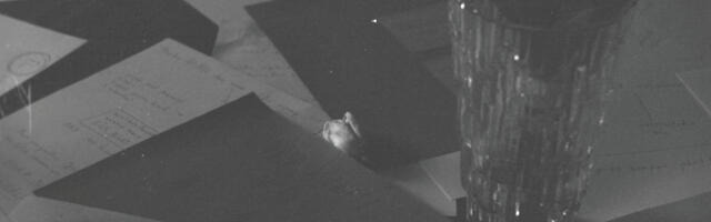 EiK soovitab: Sõidumuusika – aga mitte ainult – nädal 51