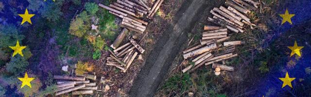 Euroopa Liidu rohepööre toetab Eesti metsade raiumist kliimamuutuste leevendamise eesmärgil