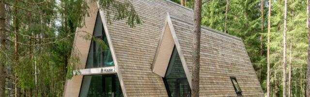 Delfi Moodsa Kodu publikulemmik: Kuuse elamusmajad