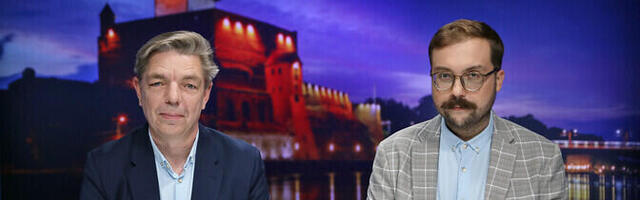 "Народу важно": почему Нарва не справилась с проблемой бездомных животных?