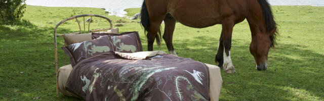 Galerii: PAI x Kätlin Kaljuvee uue disainerkollektsiooni esitluspidu Tallinna Kaubamajas