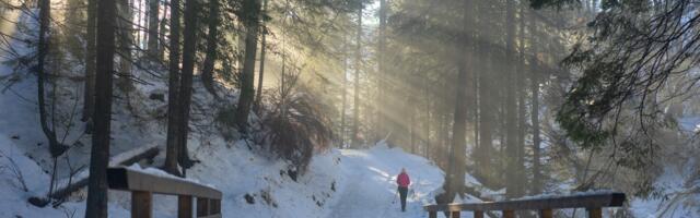 Liikumisaasta üleskutse: Minu esimesed 23