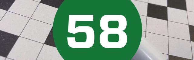 Söötis põld? Kolmas vokaal? Maalehe ristsõna nr 58
