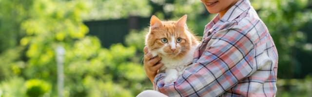 Teadlased tuvastasid viis kassiomaniku tüüpi – millisesse kuulud sina?