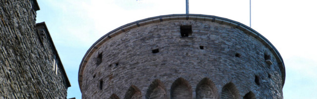 Malle Pärn: eestlastel peaks olema ühine eesmärk