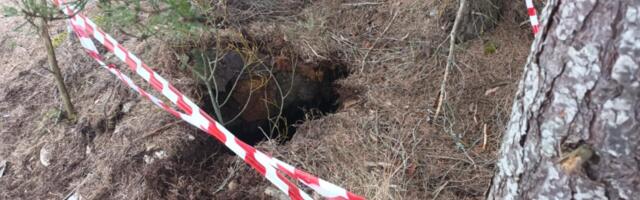 Palivere poisid ja Margus Ollema saavad elupäästja medali